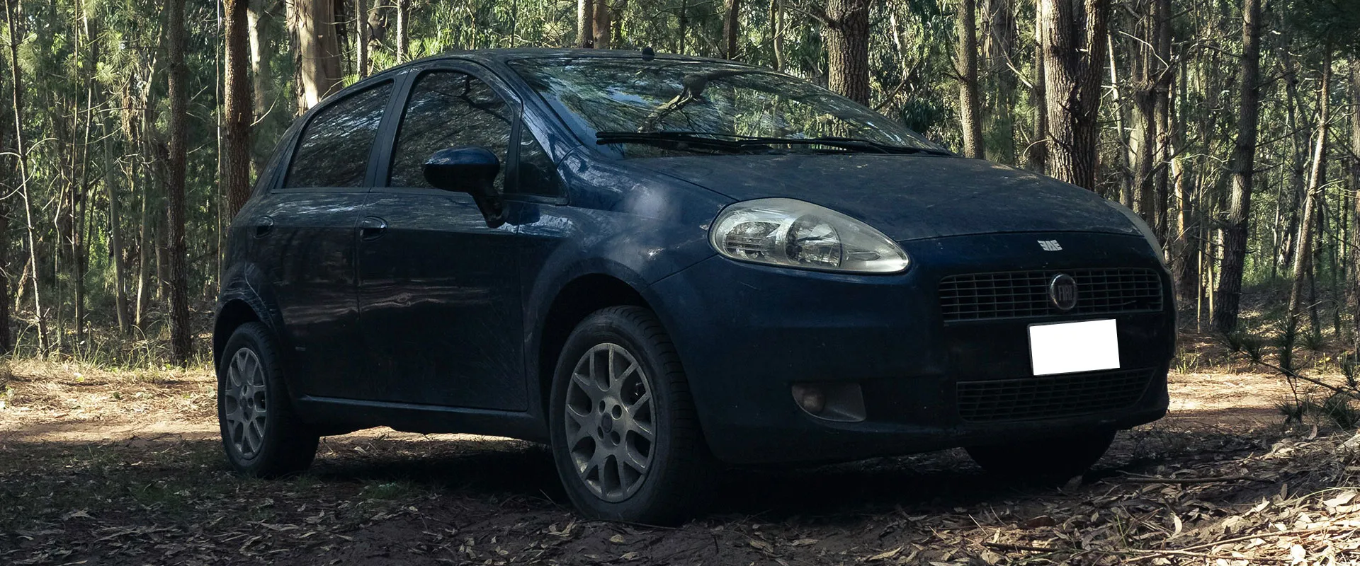 Fiat Repair and Service near Everett, WA